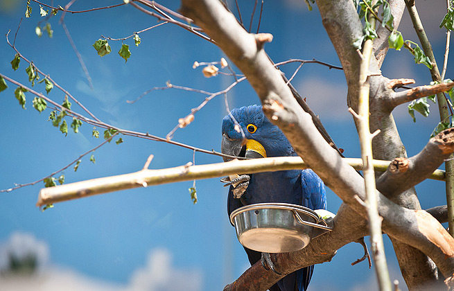 智能配置最优的短信测压揭秘